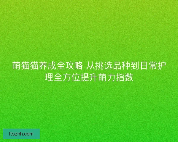 萌猫猫养成全攻略 从挑选品种到日常护理全方位提升萌力指数