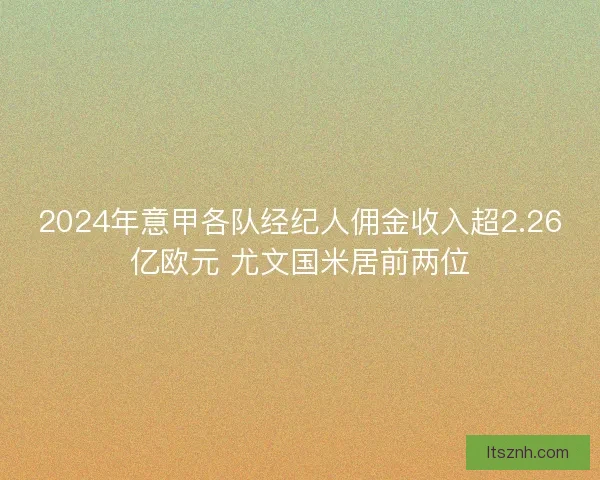 2024年意甲各队经纪人佣金收入超2.26亿欧元 尤文国米居前两位